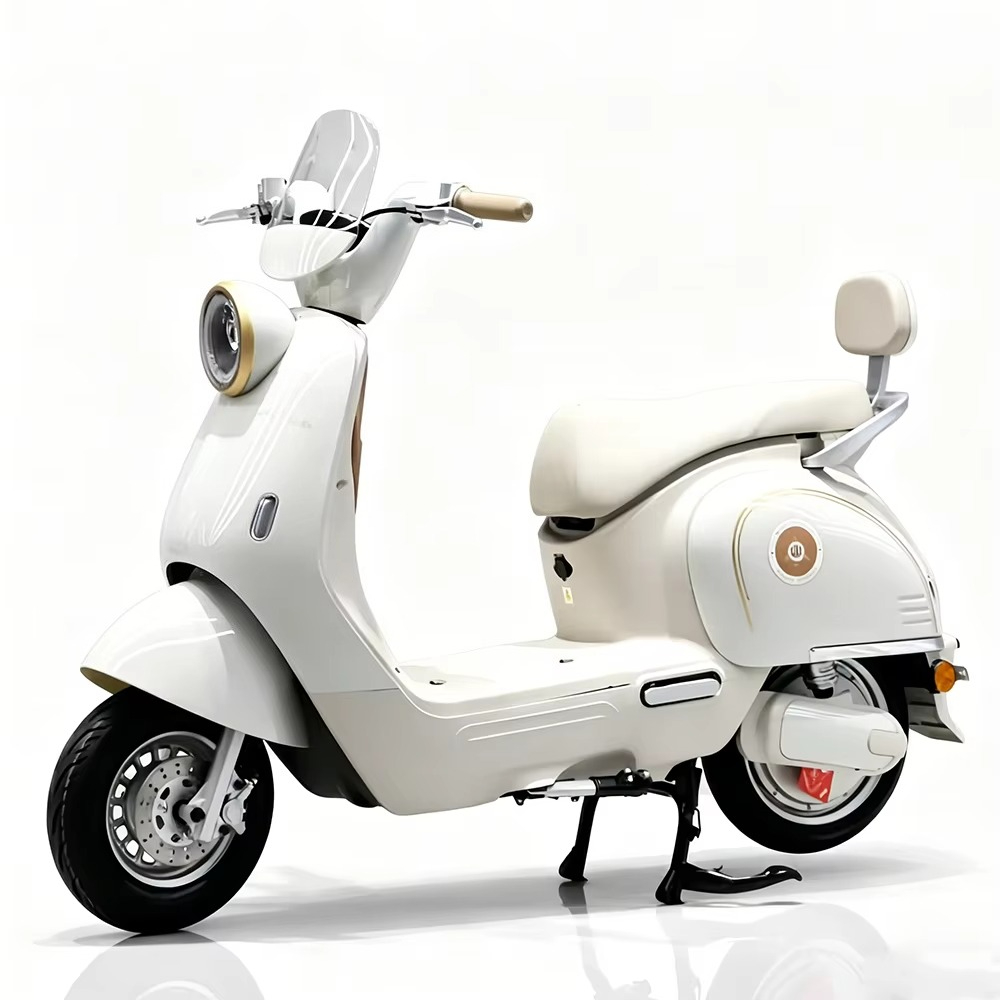 EER yetişkin tipi, disk frenli - Brake Disc Motorcycle incelemesi ve fiyatı